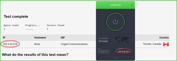 PIA's DNS leak test